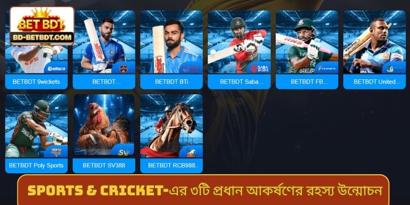 Sports & cricket-এর ৩টি প্রধান আকর্ষণের রহস্য উন্মোচন